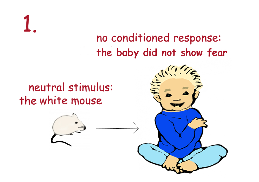 1.  how we learn by classical conditioning
