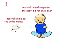 1.  how we learn by classical conditioning