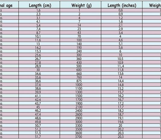 Fetal Weight Chart Kg
